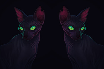 Cats, pisica, animal, black, egyptian, green, eyes, cat HD wallpaper