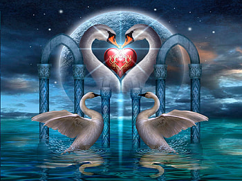 Swans, birds, art, water, star, digital, heart HD wallpaper