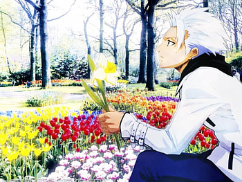 hitsugaya , cool, hot, bleach, anime HD wallpaper