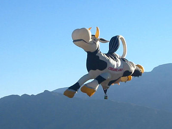 Cow Hot Air Balloon, cow, hot, balloon, air HD wallpaper