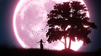 Singing Like Angel, artist, artwork, digital-art HD wallpaper