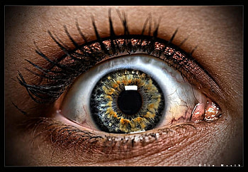eyes HD wallpaper