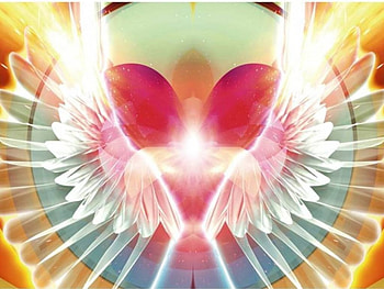 Wings of Light, wings, circle, sunlight HD wallpaper