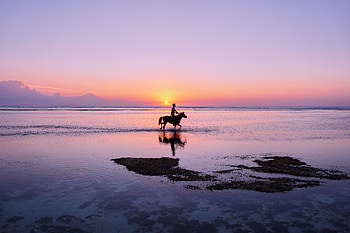 Nature, Coast, Silhouettes, Ocean, Human, Person, Horse, Indonesia, Gili Trawangan, Giles Herangan HD wallpaper
