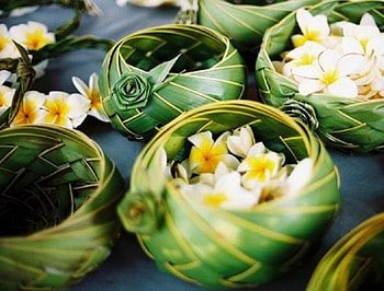 Basket Of Plumeria, basket, plumeria, nature, flowers HD wallpaper