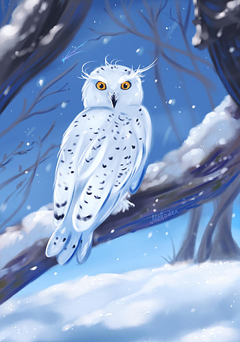 Winter, Art, Owl, Bird HD phone wallpaper