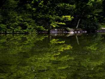 green lake, lake, green HD wallpaper