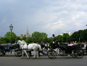 Travel Vienna , vienna, travel HD wallpaper
