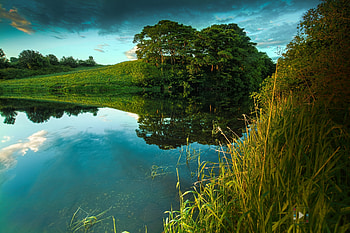 Nature, Trees, Clouds, Bush, Lake, Field, Slope, Shadows, Noon HD wallpaper