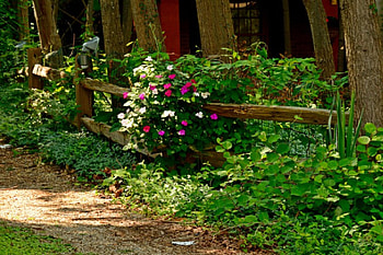 Beautiful Summer Scene, summer scene, summer fence, beautiful summer, scenic summer HD wallpaper