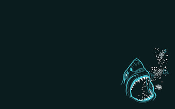Shark Minimalism, shark, minimalism, artist HD wallpaper