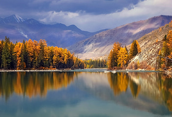 Mountain river, Mountainous, Nature, Forest, River HD wallpaper