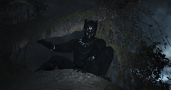 Black Panther 2018 T Challa, black-panther, 2018-movies, movies HD wallpaper