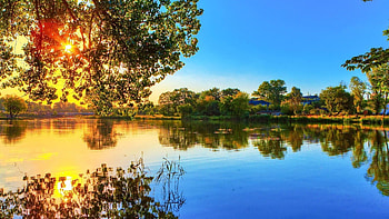 Nature, Rivers, Trees, Shine, Light HD wallpaper
