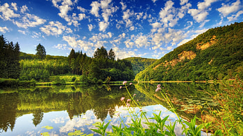 Summer Landscape, trees, sky, water, reflections, clouds HD wallpaper