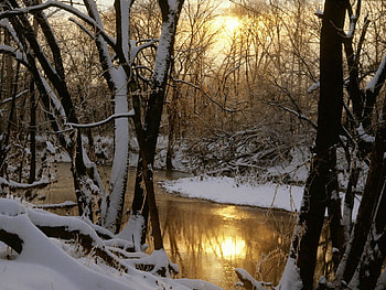 Winter, Nature, Rivers, Sun, Reflection, Forest HD wallpaper