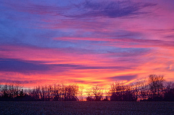 Nature, Trees, Sky, Horizon, Colorful HD wallpaper
