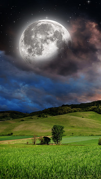 Moonlit Meadow — Starry Sky , star, starry sky, field, meadow, sky, nature, moon HD phone wallpaper