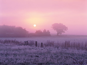 Landscape, Grass, Sky, Dawn HD wallpaper