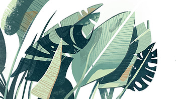 Exotic Houseplant Illustration, houseplant, artistic, plant, leaf, foliage HD wallpaper
