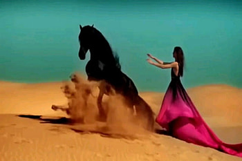 beauty, horse, black, chill HD wallpaper