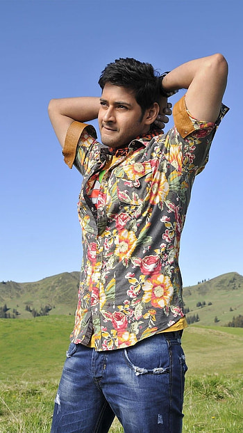 South Hero, South Actor, Mahesh Babu HD phone wallpaper