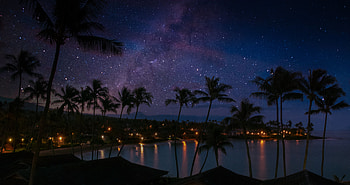 Night, Palms, Dark, Coast HD wallpaper