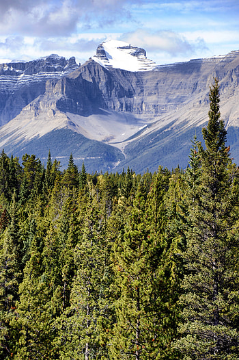 Nature, Trees, Mountains, Clouds, Rocks, Spruce, Fir HD phone wallpaper