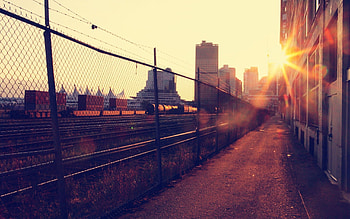 Cityscape, city, nature, lights HD wallpaper