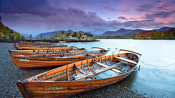rental wooden rowboats on a lake, wooden, shore, boats, forest, docks, lake HD wallpaper