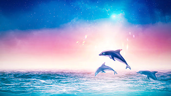 Dolphins Digital Art , dolphin, artist, artwork, digital-art, artstation HD wallpaper