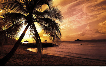 Nature Summer Sunset Beach New HD wallpaper