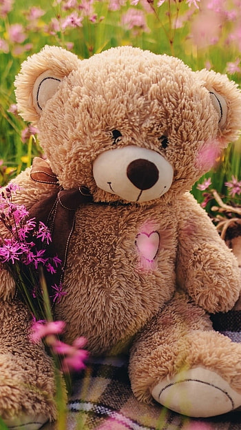Teddy Bear Ke, Floral Background HD phone wallpaper