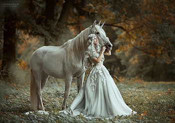 Bride and unicorn, horse, model, marketa novak, unicorn, girl, cal, bride, woman, white HD wallpaper