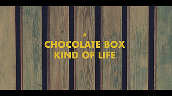 If Wes Anderson directed 