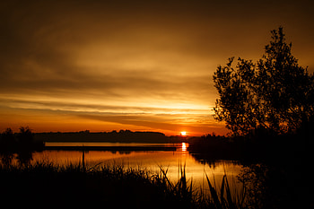 Nature, Sunset, Grass, Horizon, Wood, Tree HD wallpaper