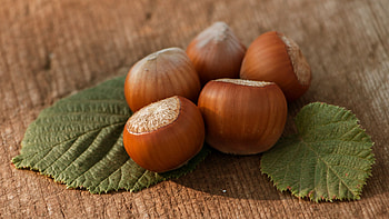 Nuts collection, Nutty delights, Gourmet food, Delicious and natural HD wallpaper