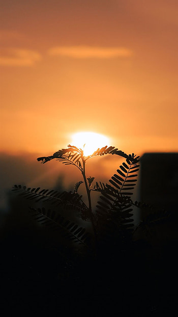 Ethiopia on , Stunning , Cultural diversity, Natural beauty HD phone wallpaper