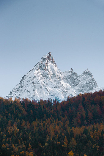 Landscape, Nature, Snow, Mountain, Vertex, Top, Forest HD phone wallpaper
