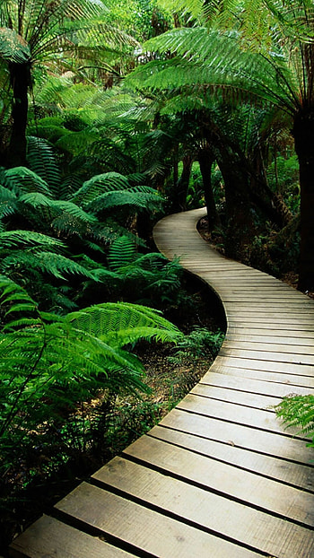 Nature's marvels, Mobile backgrounds, Stunning ry HD phone wallpaper