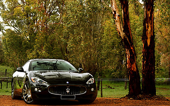 Transport, Auto, Maserati HD wallpaper
