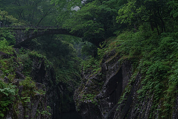 Bridge in Deep Green Forest Canyon, Bridges, Green, Canyons, Nature, Forests, Mountains HD wallpaper