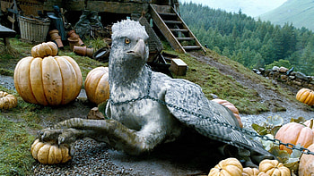 Buckbeak Hippogriff Harry Potter and the Prisoner of Azkaban HD wallpaper