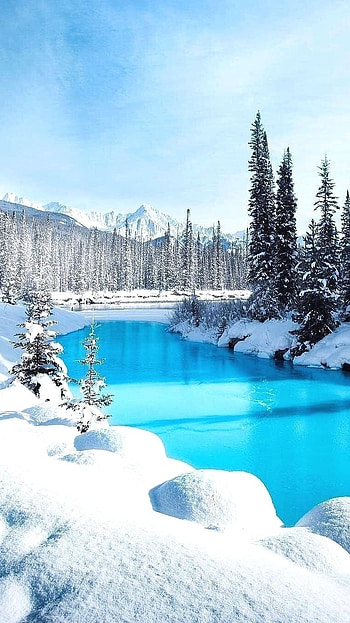 Winter, Winter Background HD phone wallpaper