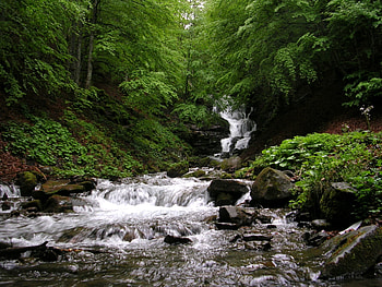 Nature, Rivers, Stones, Mountain, Waterfall, Flow, Stream, Ukraine, Transcarpathia, Carpathia HD wallpaper