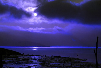 JUST ANOTHER DAY, SKY, MOON, CLOUDS, EVENING HD wallpaper