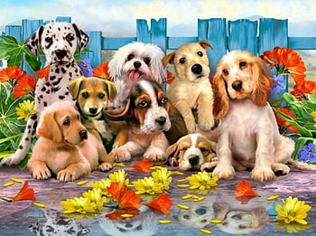 Our Gang, painting, Dogs, fence, flowers, spring, Cute HD wallpaper