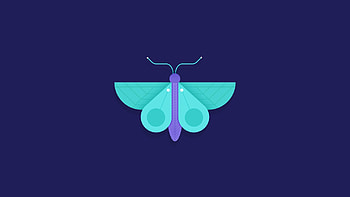 Butterfly Minimalism, butterfly, minimalism, artist, digital-art HD wallpaper