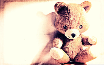 Teddy Bear, Shine, Light, Miscellanea, Miscellaneous, Toy, Shadow HD wallpaper