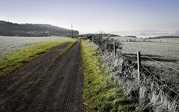 Nature, Grass, Road, Colors, Color, Fencing, Enclosure, Country, Effect, Countryside HD wallpaper